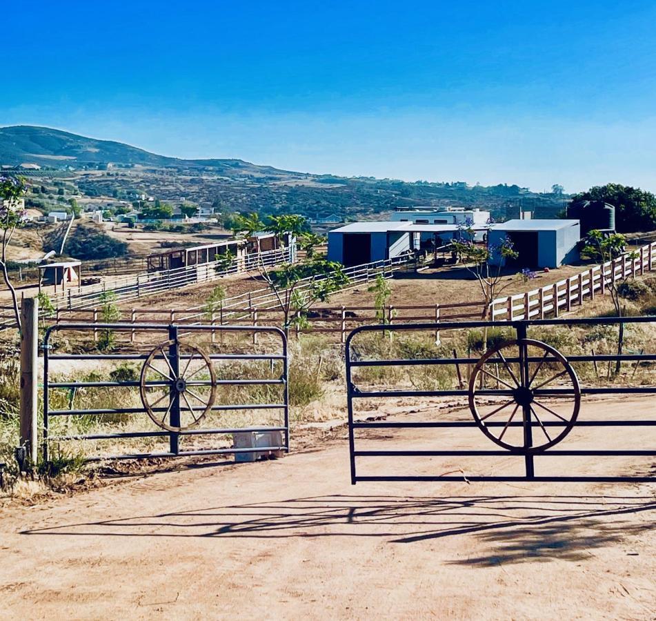 Rustic Farm Stay 蒂梅丘拉 外观 照片